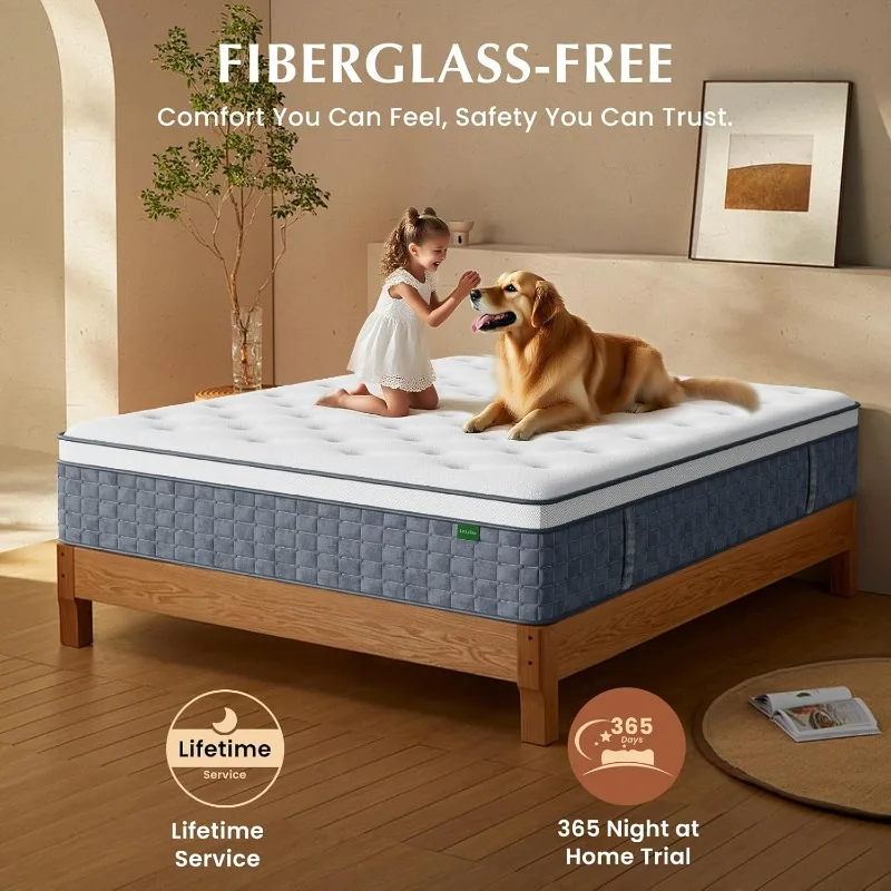 Materasso Queen, Materassi Queen Size da 14 pollici in una scatola, Materasso ibrido in memory foam, con molle insacchettate individuale per Motion Is