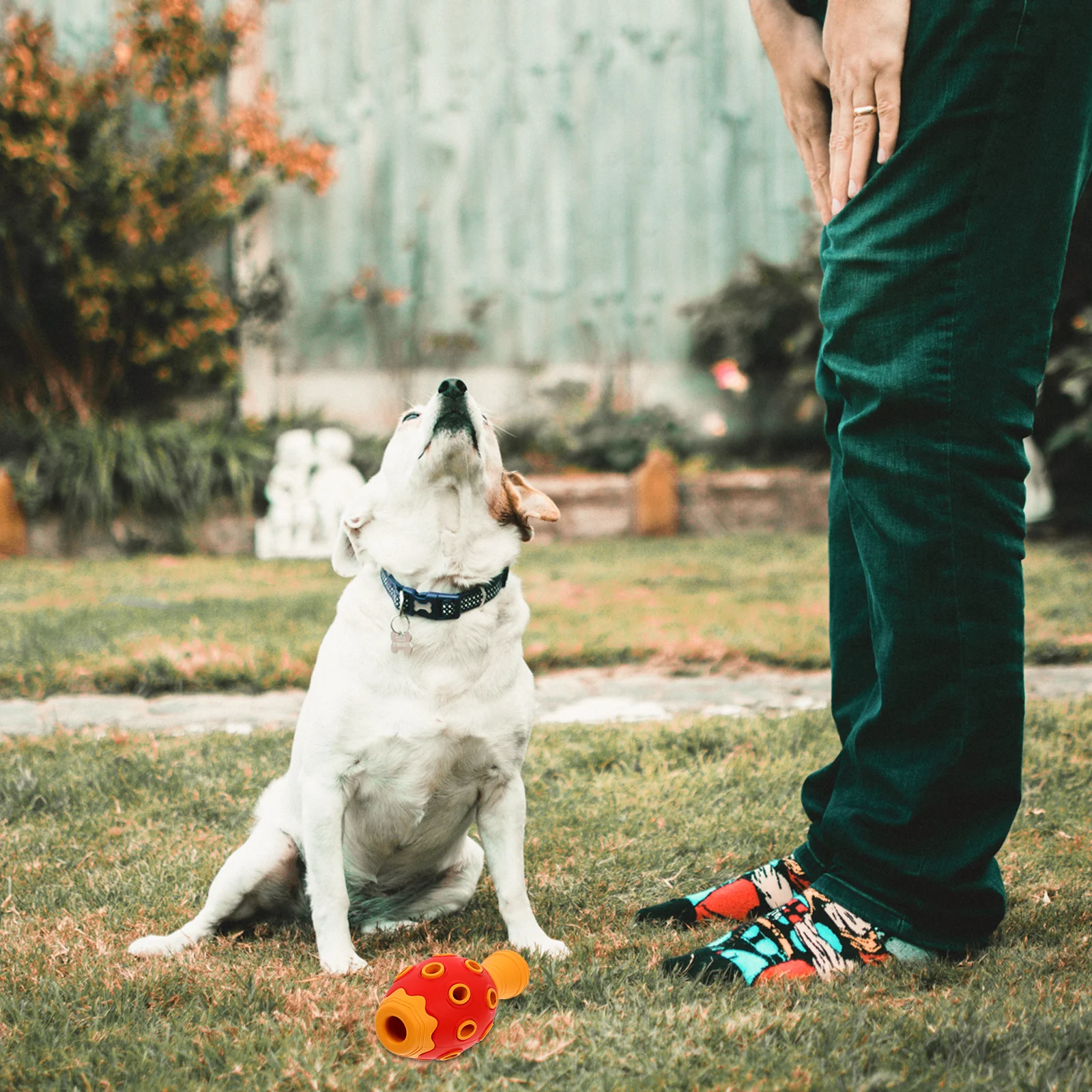 

Pet Chew Squeaky Ball Bite Resistant Rubber Non Abrasive Dog Treat Feeding Interactive Plaything Dog Chew Puppy Treat