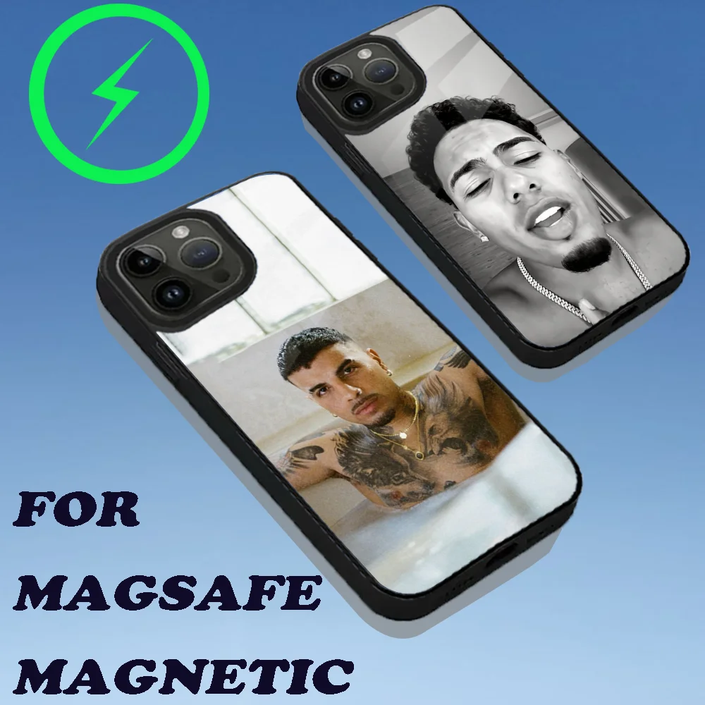 Etui na telefon do iPhone 16,15,14,13,12,11, Plus, Pro, Max Mini Magsafe M-Myke Towers LALA Magnetyczne ładowanie bezprzewodowe