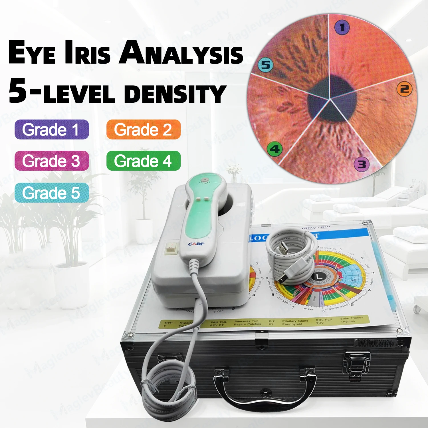 Professional USB Iridology Camera HD CCD/CMOS Sensor Adjustable Focus 3 In 1 Iris Skin Hair Analyzer With LED Analysis Software