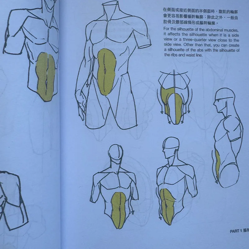 Korean Painter TACO Point Character Drawing Book Vol 1-2 Human Body Structure Drawing 2 Books Technique Art Books