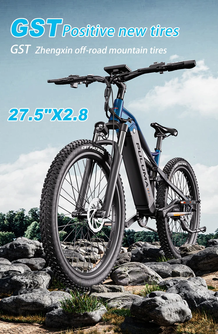PULUMA PH001 Elektro-Mountainbike, 500W Motor, 1000W Spitzenleistung, 48V 20AH Akku, 80N.M Drehmoment, 40km/h Höchstgeschwindigkeit, Hochleistungs-Offroad-E-Bike