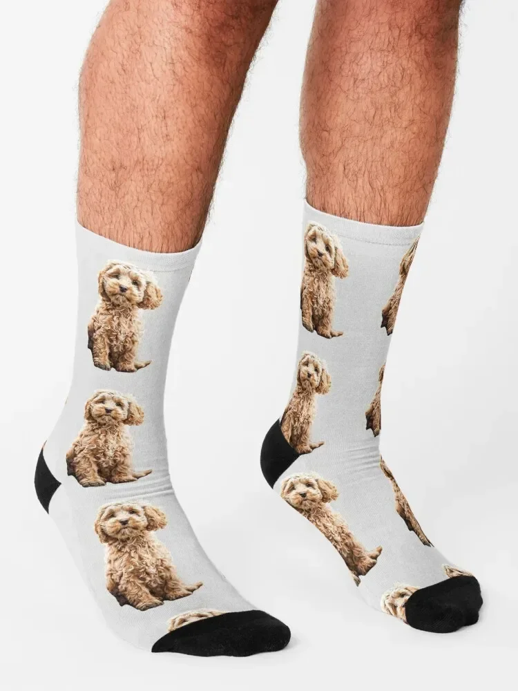 Cockapoo Cavoodle Labradoodle Cute Puppy Dog- Poodle x Socks christmass gift new in\'s Socks Ladies Men\'s