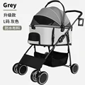 Grey (upgraded) L 