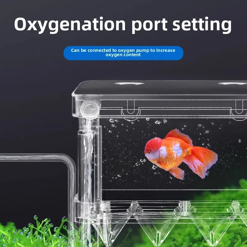 

YEE Guppy Breeding Box Acrylic Isolation Hatchery for Pregnant Fish Shrimp Floating Fish Tank Divider with Holes Suction Cups