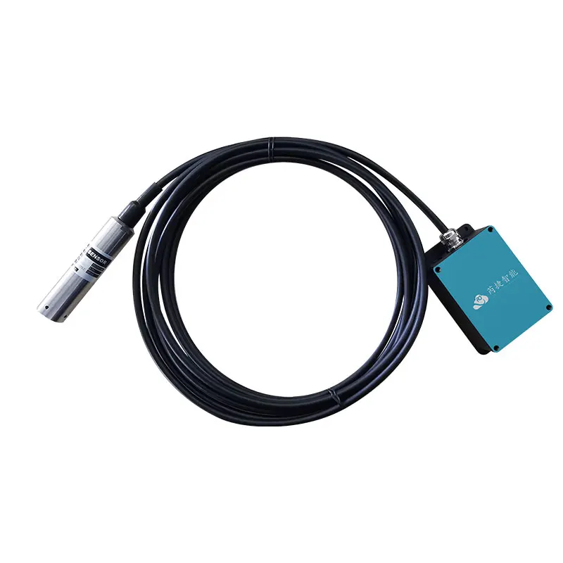 Rejeee LoRaWAN Water Pressure Sensor, Built-in Battery, External Antenna, IP67 , Compatible with Helium, TTN, Chirpstack