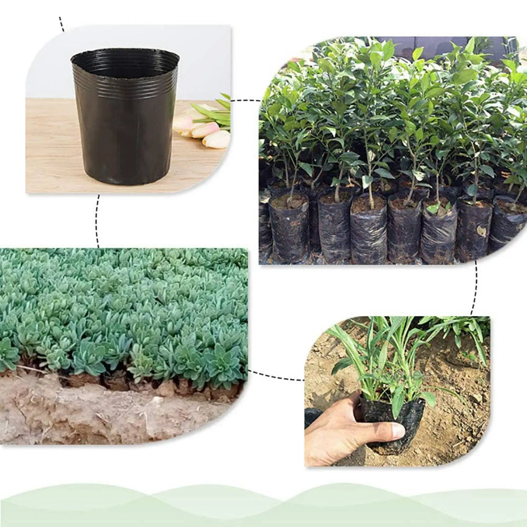 ABAH-1000Pcs Nursery Pot Plastic Plant Propagation Container Grow Bag Garden Supplies 8Cmx8cm