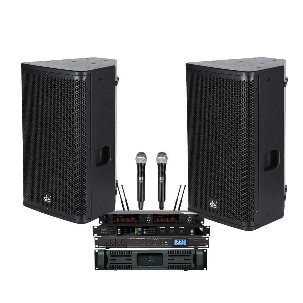 Karaoke 10 Inch Full Range DJ Speaker Set With Amplifier Sequencer KTV Preamp Microphone Audio Sound Equipment For Party