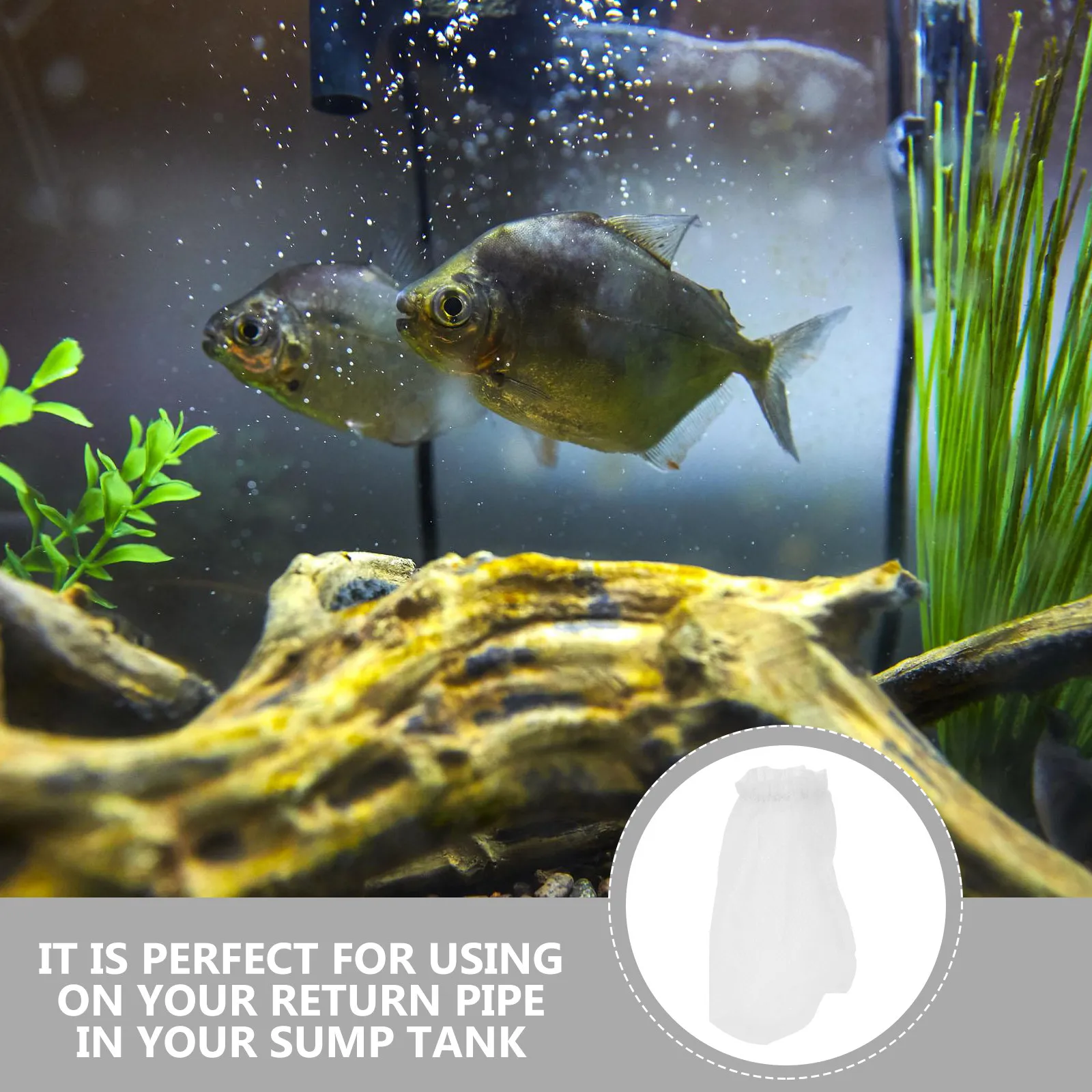 20 Pcs Chaussettes filtrantes - Marine Aquarium Pc avis et prix