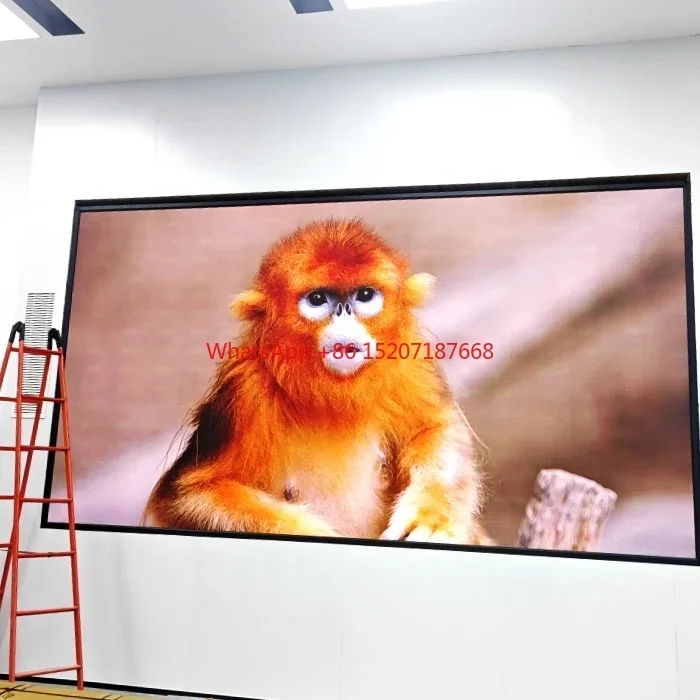 

Raybo Large Led Screen Led Video Wall Led Display For Advertising Indoor Led Screen for Showing Room Home Theater