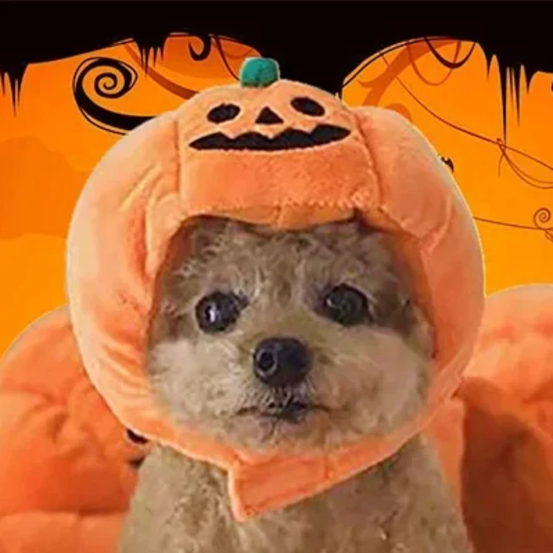 Halloween Pet Cat Dog Pumpkin Hat Halloween Ghost Day forniture Decorative cani di piccola taglia media e grande Teddy Fadou copricapo