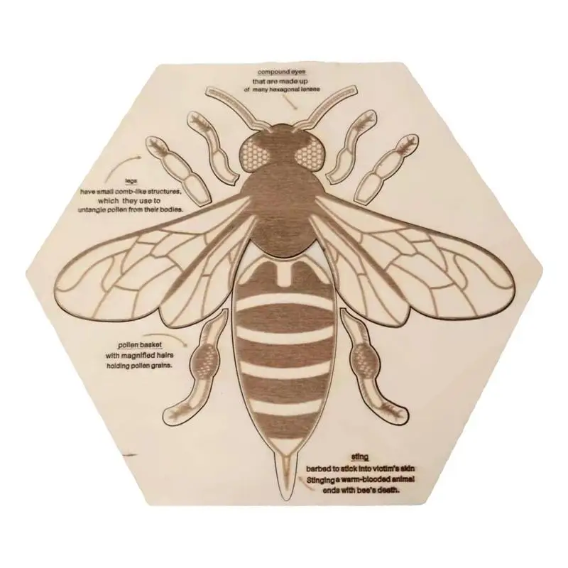 Bee Anatomy Jigsaw Wooden Puzzles Montessori Preschool Learning Educational Puzzles Toys Bee Structure Recognition Toys For Kids