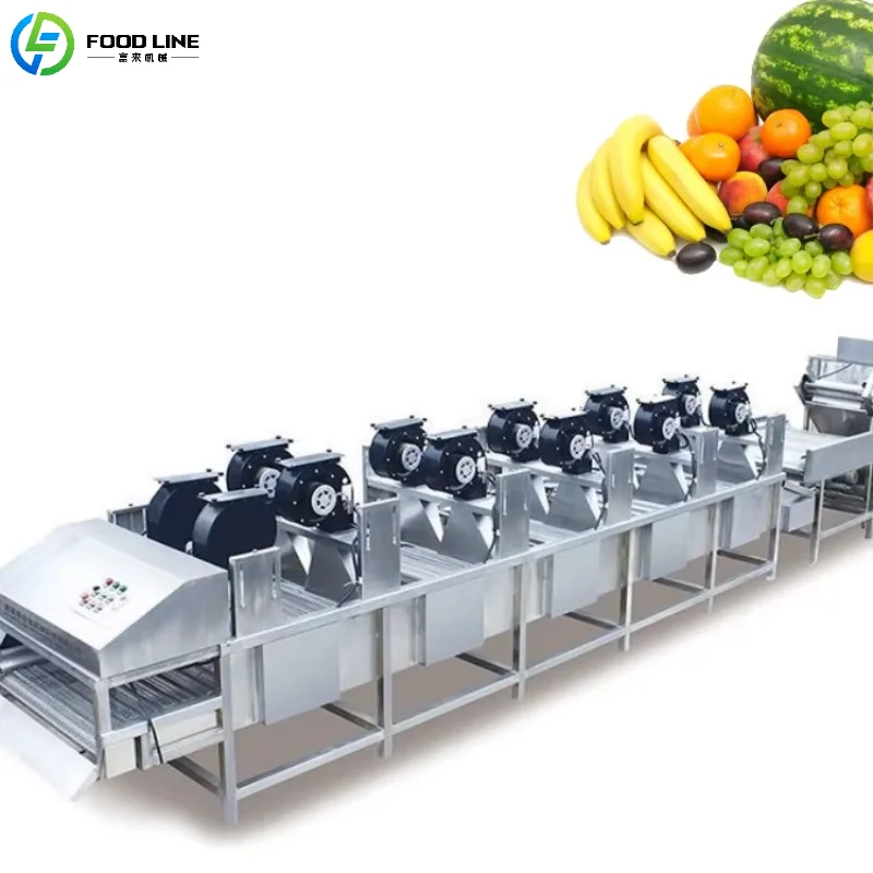 Customized Stainless Steel Fruit Vegetable Drying Conveyor Belt Strong Wind Air Dryer Continuous Conveyor Device