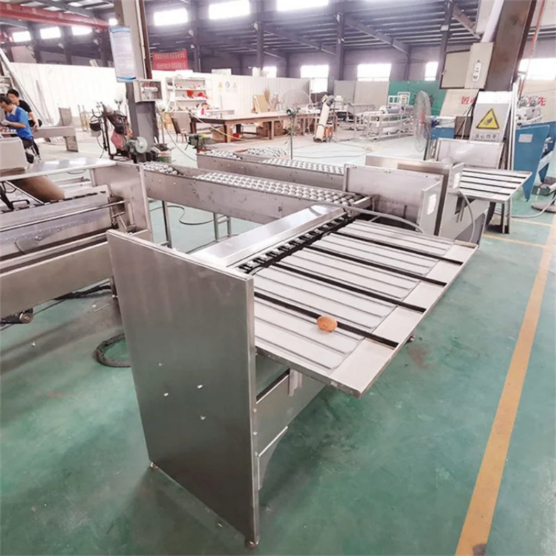 Desktop Egg Sorting Machine Compact Egg Weight Classifier Suitable for Small Egg Retail Factory