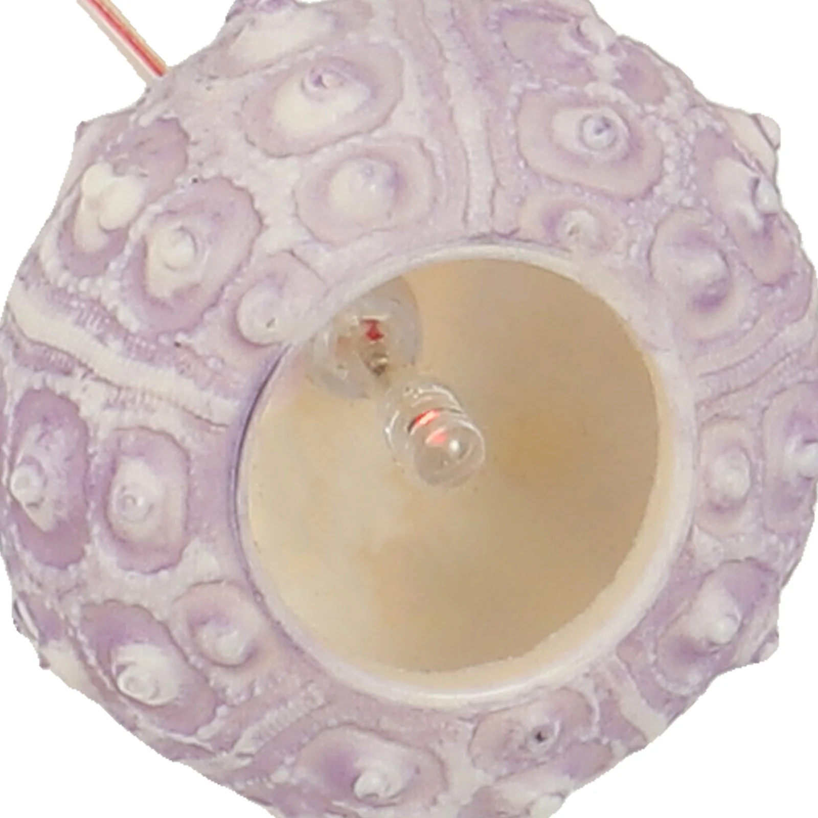 

Painted Sea Urchin Lamp Color Changing Wind Chime Garden Lights Solar Powered Led Decorate Windchimes