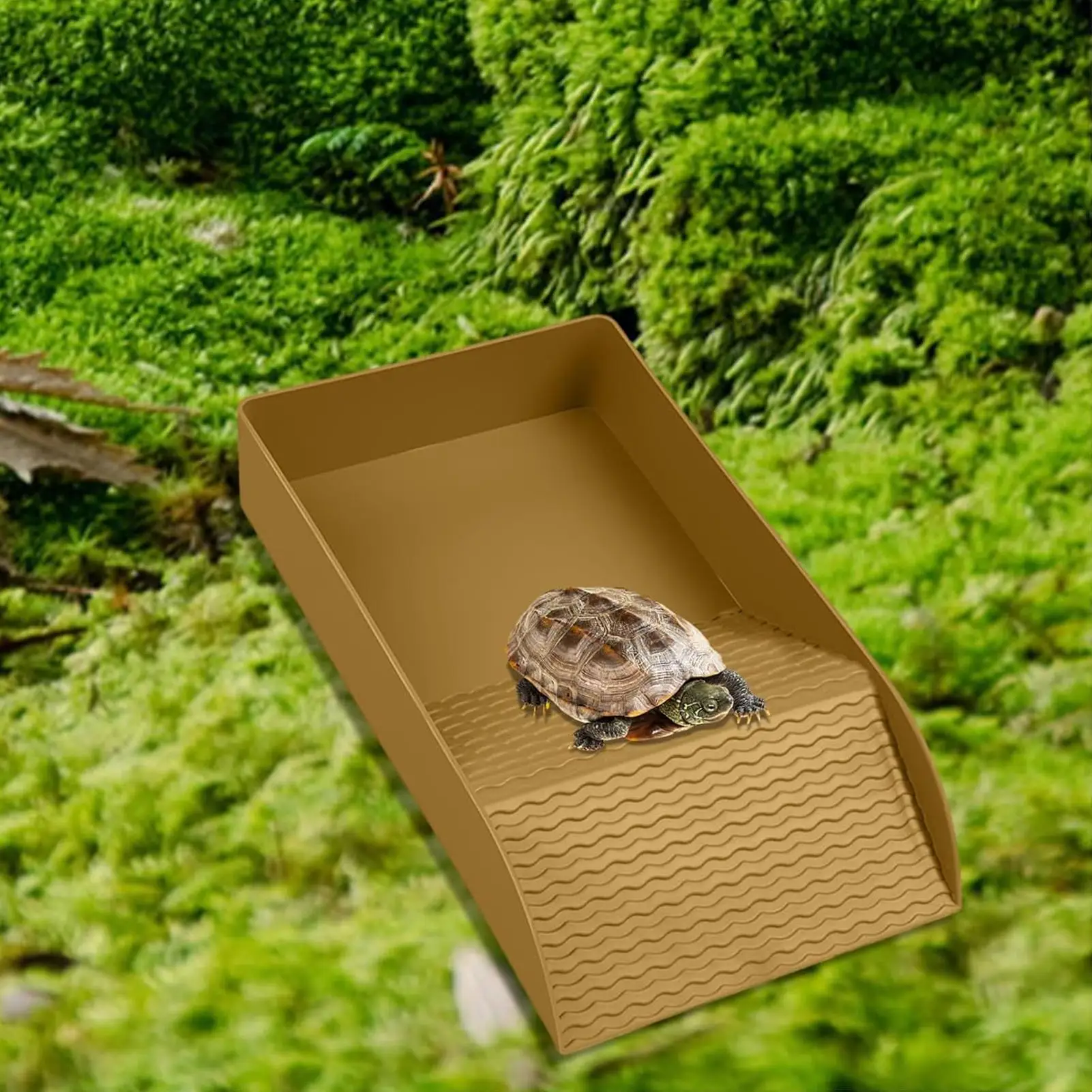 Schildkröten-Tauchbecken mit Sonnplattform, Reptilien-Futter- und Wasserschale, Rutschfeste Große Habitat-Wasserschüssel für Schildkröten, Geckos, Eidechsen und Schlangen – Detail 1