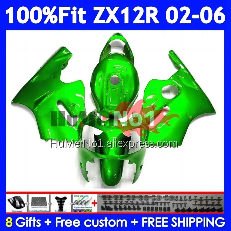 OEM Kit For KAWASAKI NINJA ZX-12R ZX 12R 1200 Light Green 226No.125 ZX12R 02 03 04 05 06 ZX1200 2002 2003 2004 2005 2006 Fairing