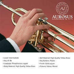 AUROSUS ATR-6331H Bb Trumpets for Advanced Student w/Case, Cloth Phosphorous copper Leadpipe Brass BELL