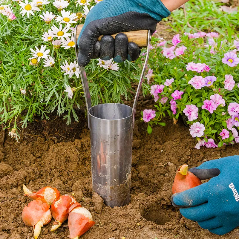 

Gardening Forest Bulb Planter Bulb Root Transplantation Tulip Wind Hole Gardening Tools