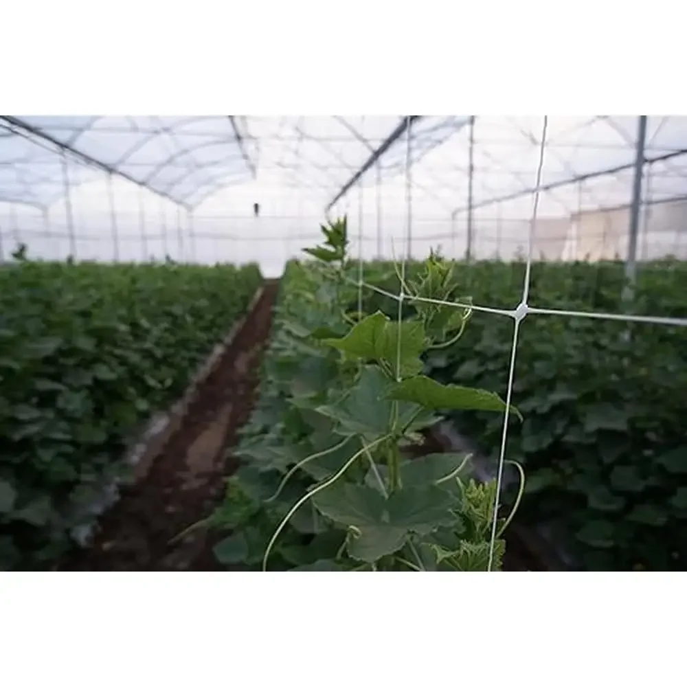 Professional Grade Vegetable Support Trellis Netting 59