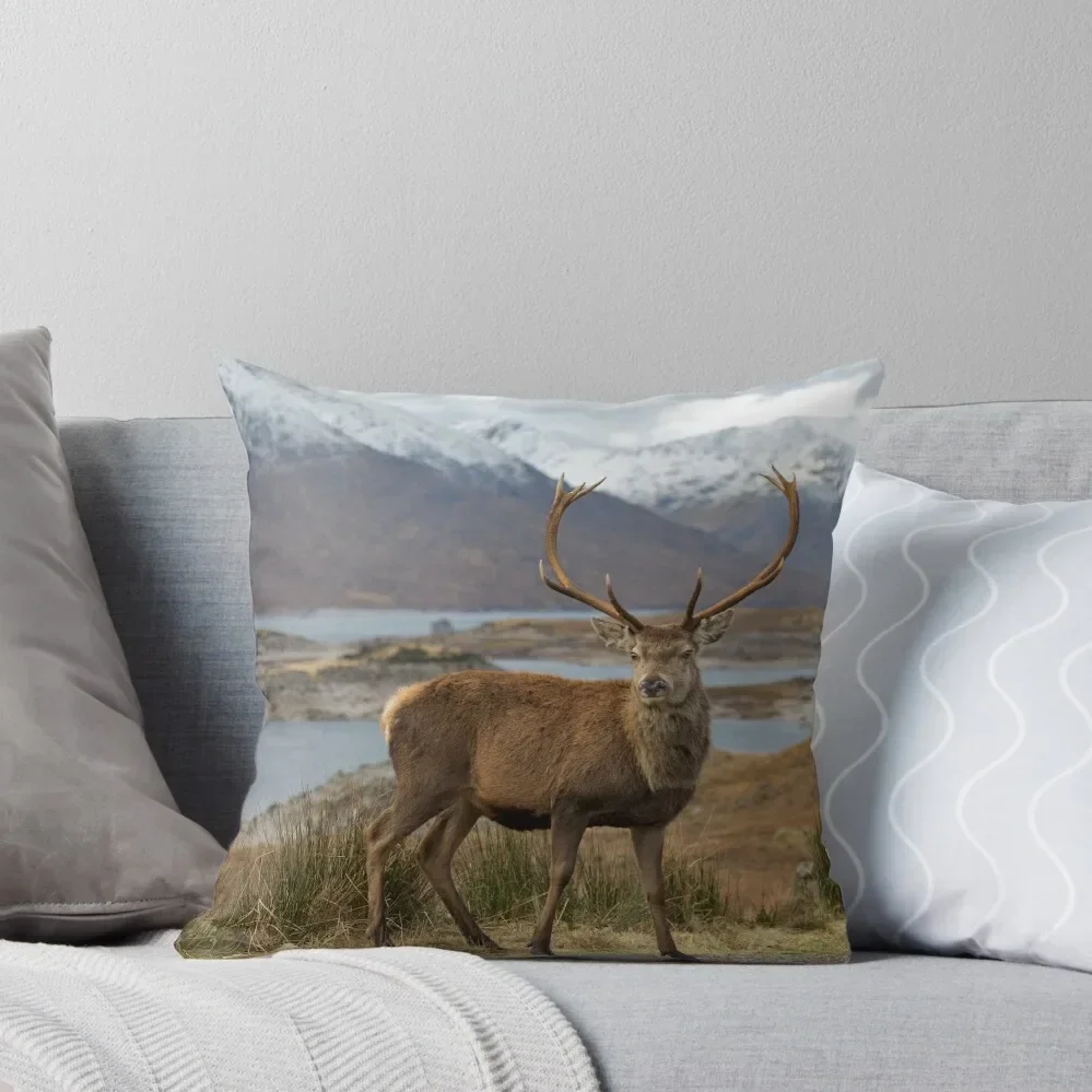 

Red Deer Stag in Highland Scotland Throw Pillow Cushions Cover Throw Pillow Covers anime girl Pillow