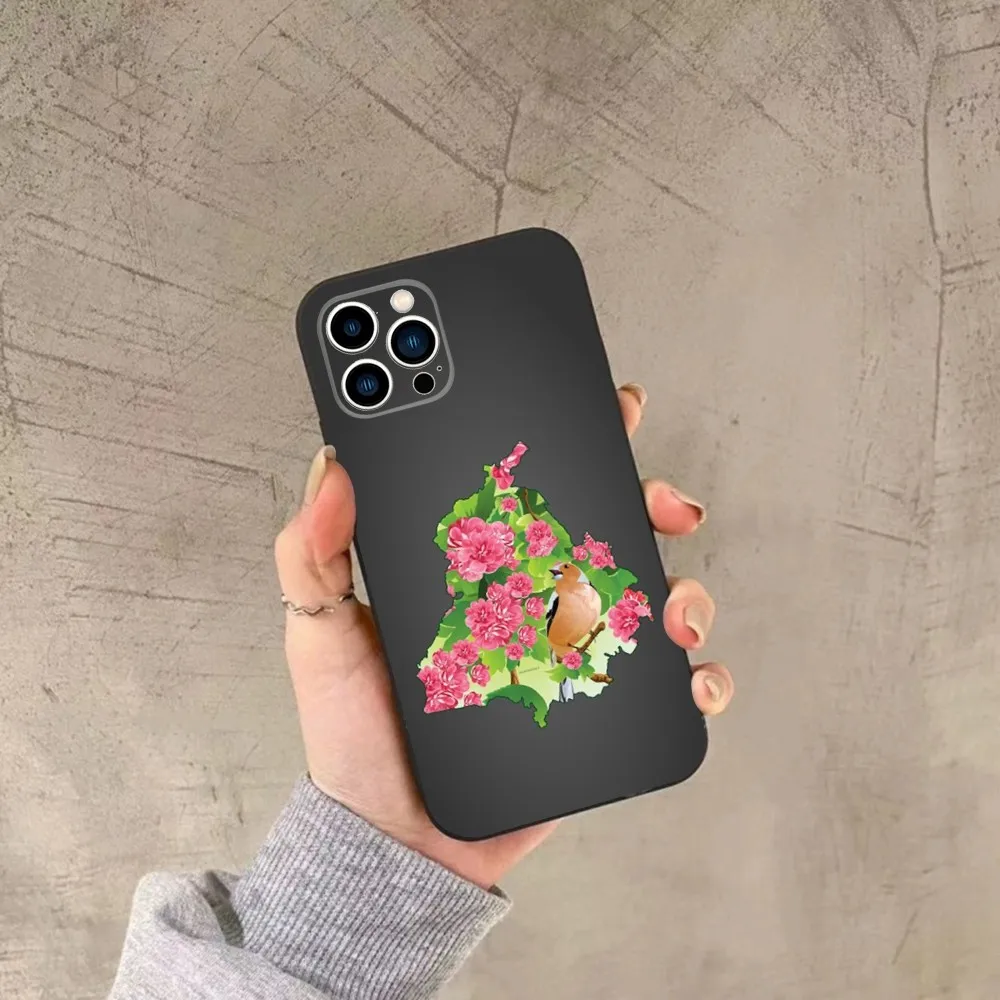 Painting Punjab Map Phone Case For iPhone 15,14,13,12,11,Plus,Pro Max,XS,X,XR,SE,Mini,8,7 Soft Silicone Black Cover image 3