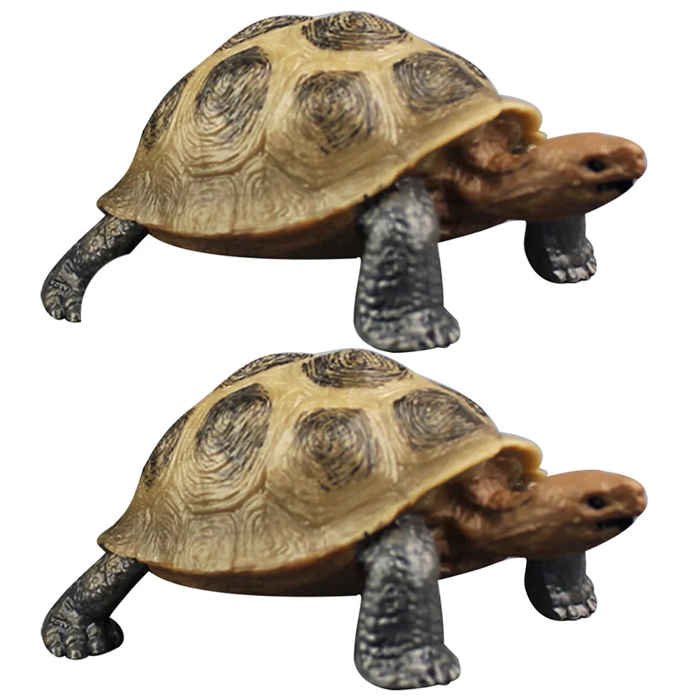 Jouet décoratif en PVC pour enfants, modèle de tortue de simulation, modèles d'animaux, figurAuckland, ornement, 2 pièces