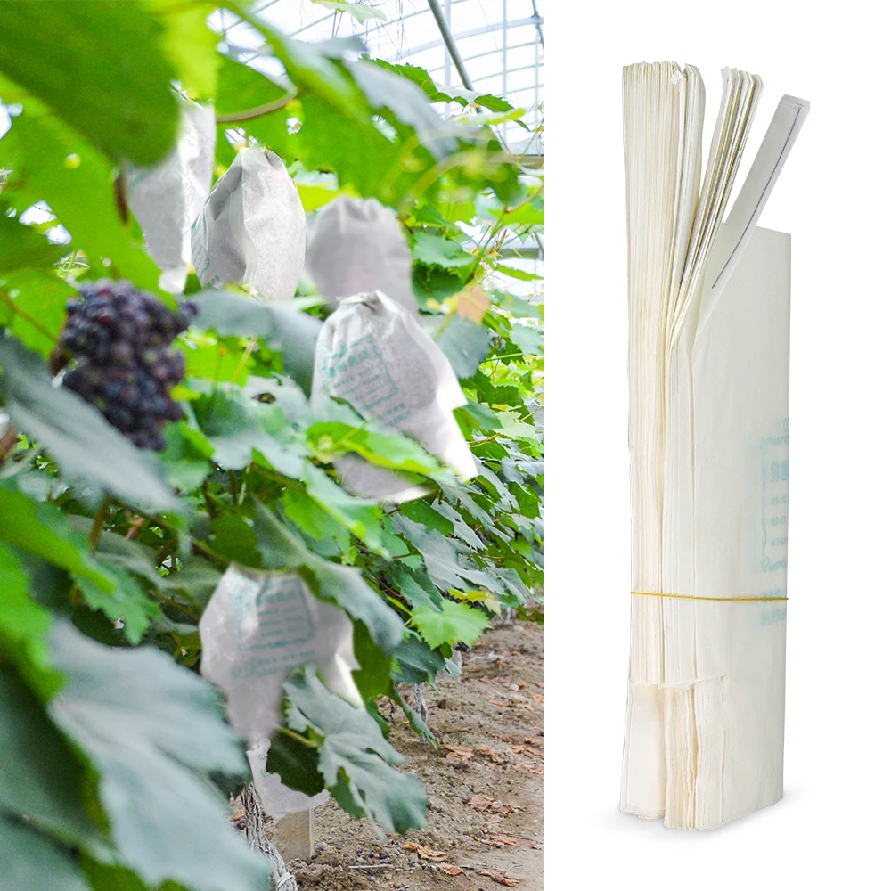 50/100PCS White Paper Grape Protection Bags for Orchard Mothproof Waterproof Fruits Cultivating Grow Protect Cover Grape Pouchs