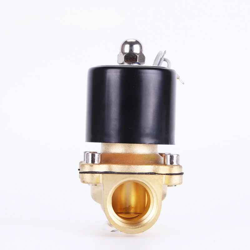 220V 110V 24V 12V 2W Normally Closed Brass Electric Solenoid Valve For Water Air Oil 1/4