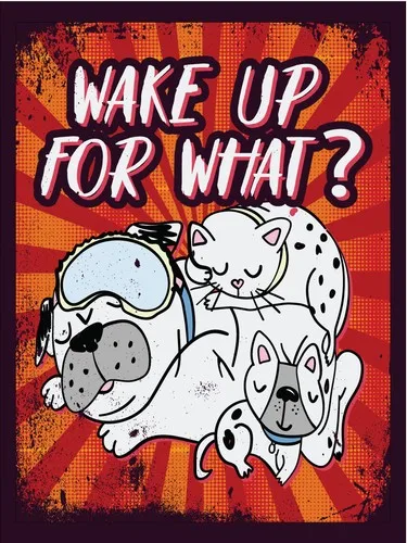 Metal plaque vintage retro style Wake Up For What? Classic tin door sign