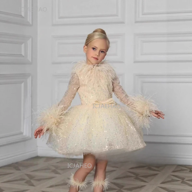 Party Dress with Feathers Bow Long Sleeve Tulle Ball  Birthday Pageant Evening Formal Gown Celebration Gown Kids Girls Princess