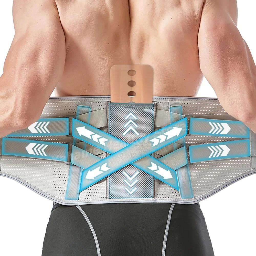 

Waist Support Belt for Lower Back Pain Relief with Bionic Support Plate,Lumbar Support for Herniated Disc, Sciatica, Arthritis
