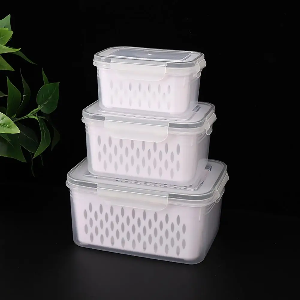 Drain Crisper Container Versatile Ingredient Storage Bpa-free Fruit Storage Containers with Capacity Good for Easy for Fruits