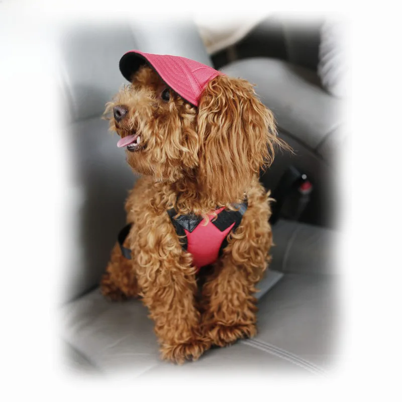 pet supplies dog clothes accessories baseball duck tongue sunshade hat cross-border direct supply tail Dog matchy Yorkie