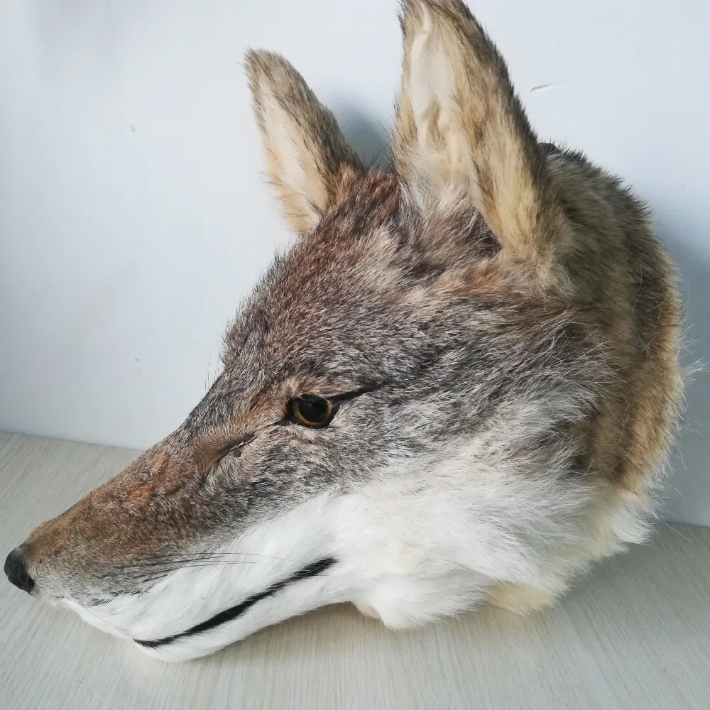 Nuevo modelo de cabeza de lobo de polietileno y pieles de la vida real, colgante de pared, accesorio artesanal de aproximadamente 30x25cm