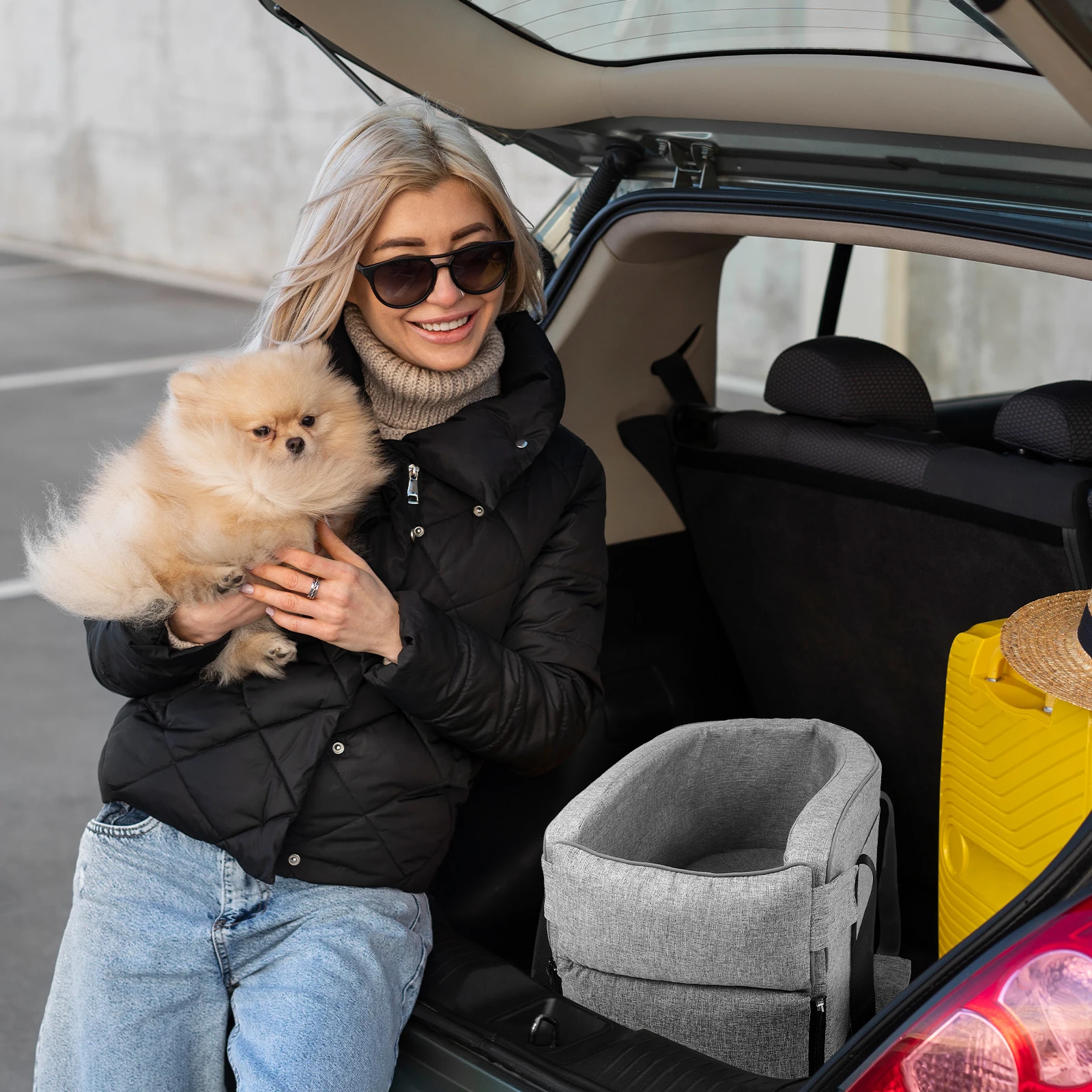 

Pet Small Console For Small Large Dogs Dog Seat Gray Hand Carry Travel Console Dog Seat Vehicle
