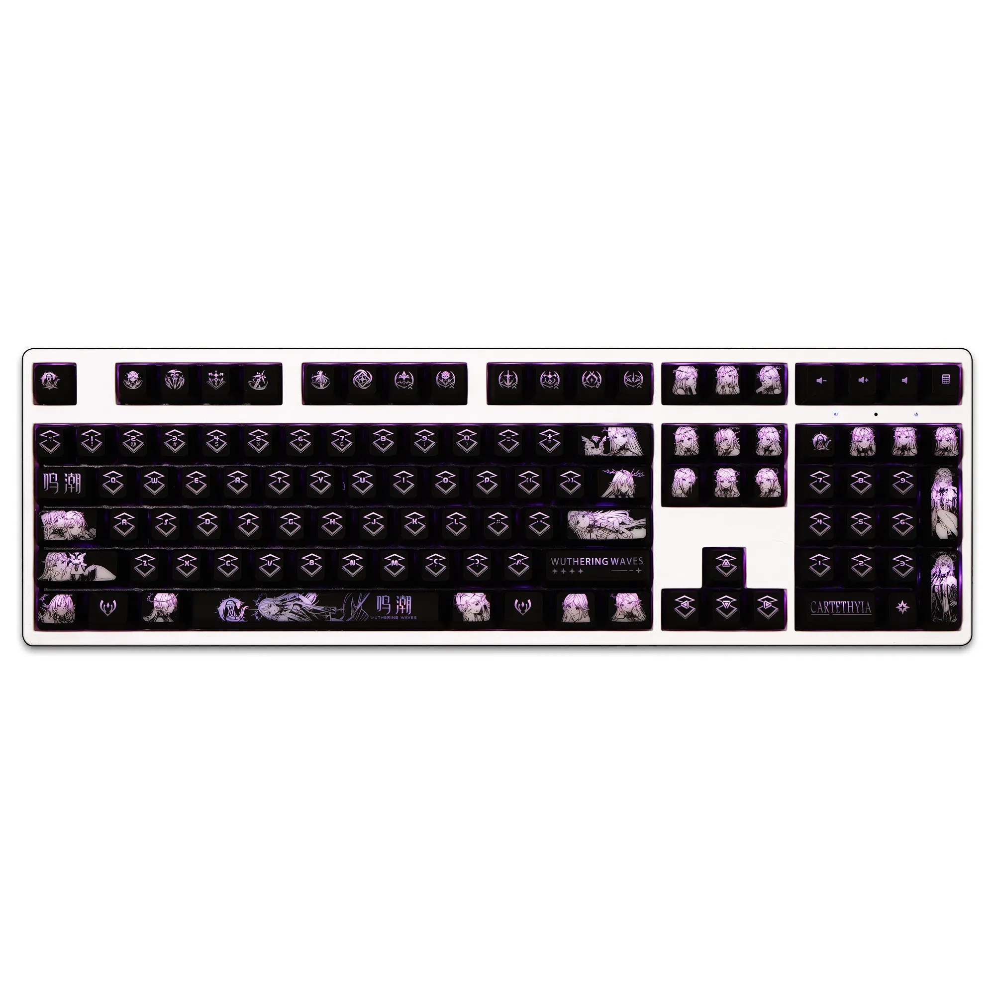 104 Keys/Set Cartethyia Wuthering Waves Backlit Keycaps PC Coating for Logitech G512 Razer BlackWidow Huntsman Corsair K70 K95 view 5