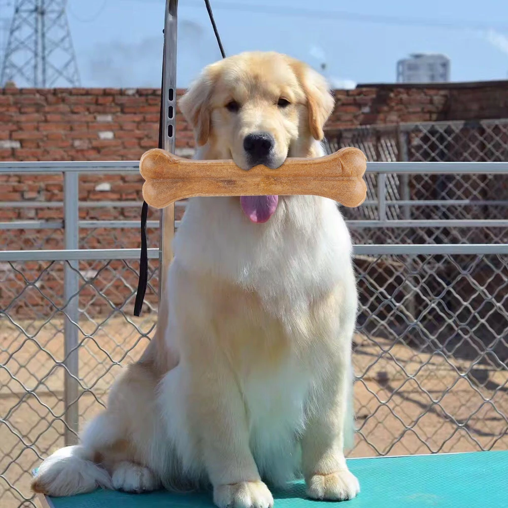 8 بوصة الكلب العظام يمضغ اللعب الأسنان نظيفة عصا المولي العصي جرو ألعاب التسنين للكلاب الصغيرة المتوسطة الكبيرة الحيوانات الأليفة مضغ لعبة #6