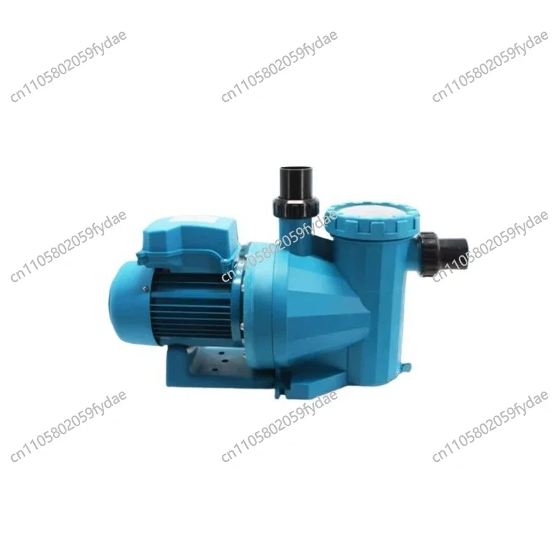 Swimming Pool Circulation Pump Water Pool Filtration Bathhouse Water Filtration Treatment Engineering Equipment