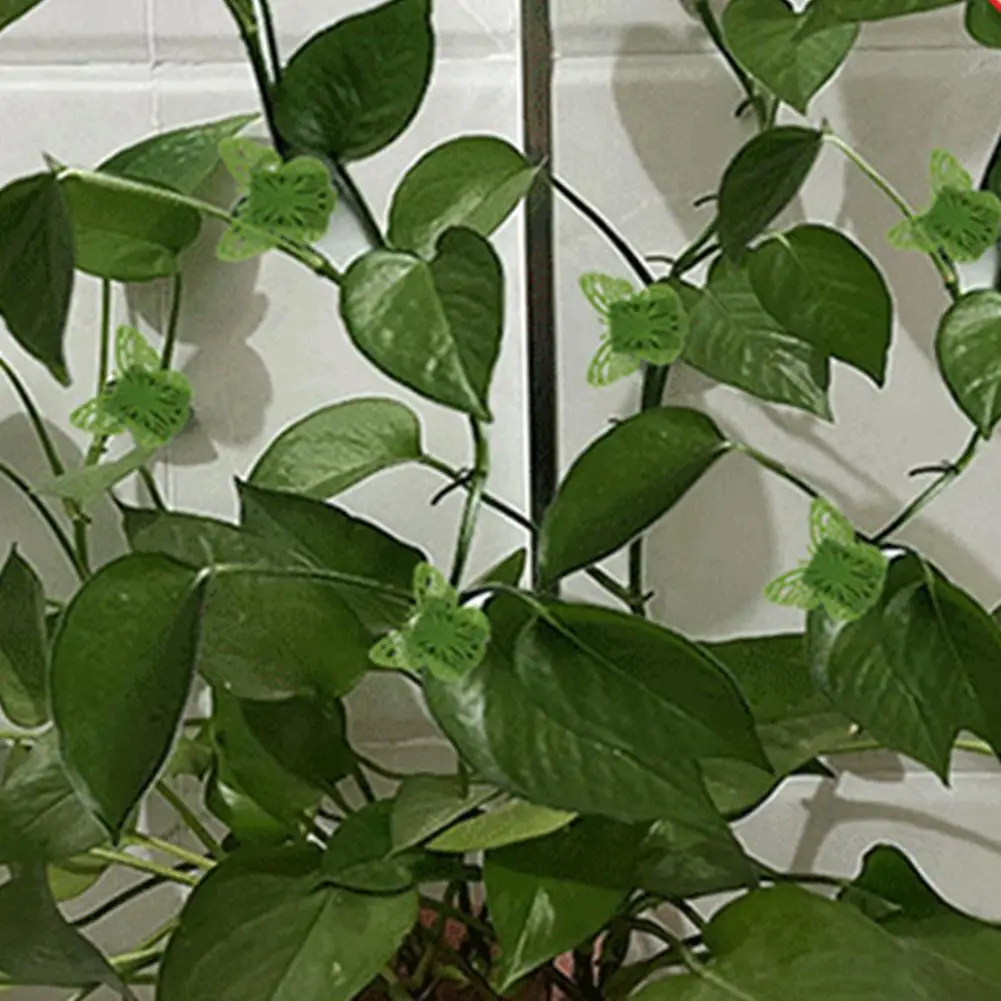 10Pcs Invisible Plant Climbing Wall Fixture Clips Plastic Rattan Vine Bracket Fixed Buckle Leaf Clips Traction Holder Garden