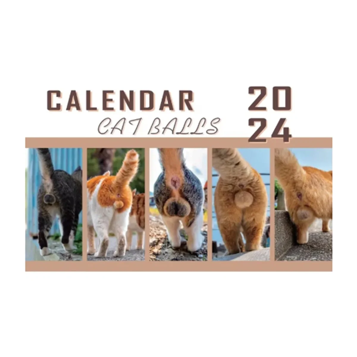 

Cats Butt Calendar 2024 Bring and Personality to Your Days