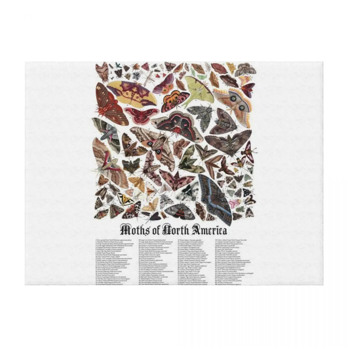 

Moths of North America Throw Blanket Stuffeds Extra Large Throw Custom Sofa Throw Blankets