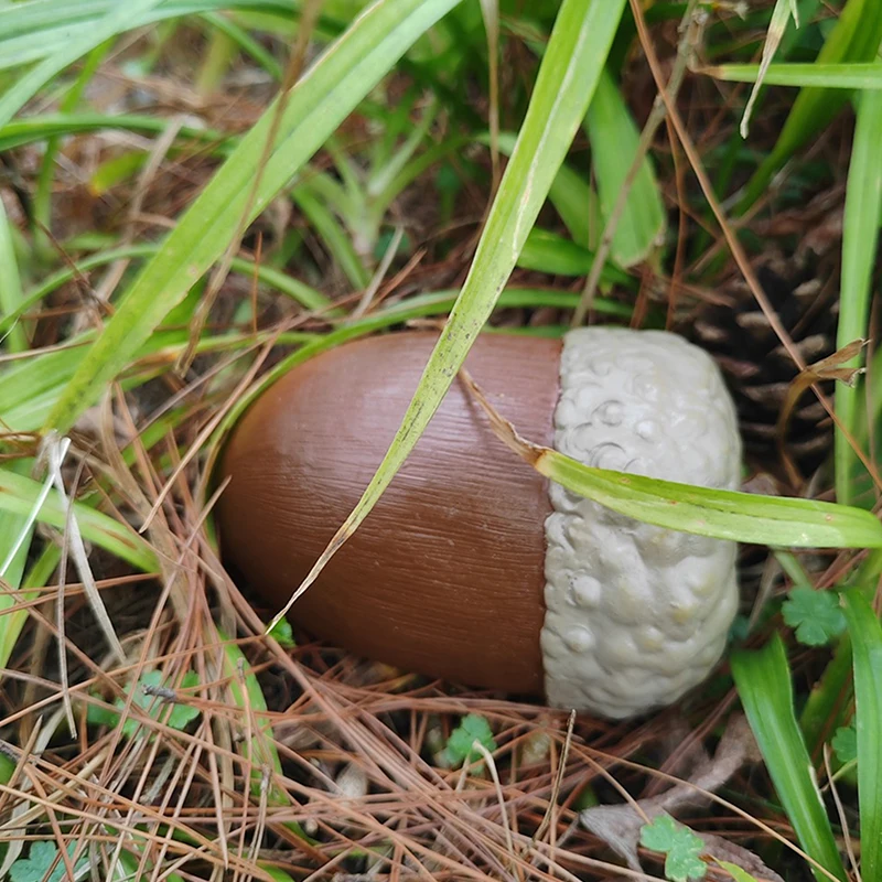 Creative Outdoor Garden Key Safe Box Hidden Acorns Looks Like Real Safety Storage Box For Home Key And Money Jewels Safes