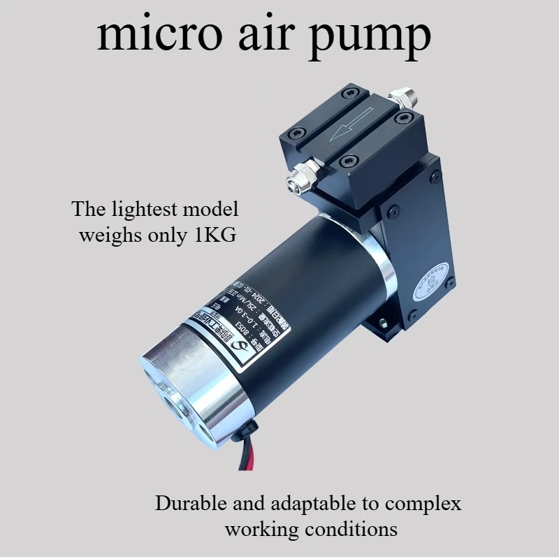 

12/24V Mini Air Pump, Oil-Free High Pressure Booster Pump for Aquariums, Medical Devices, Industrial Tools