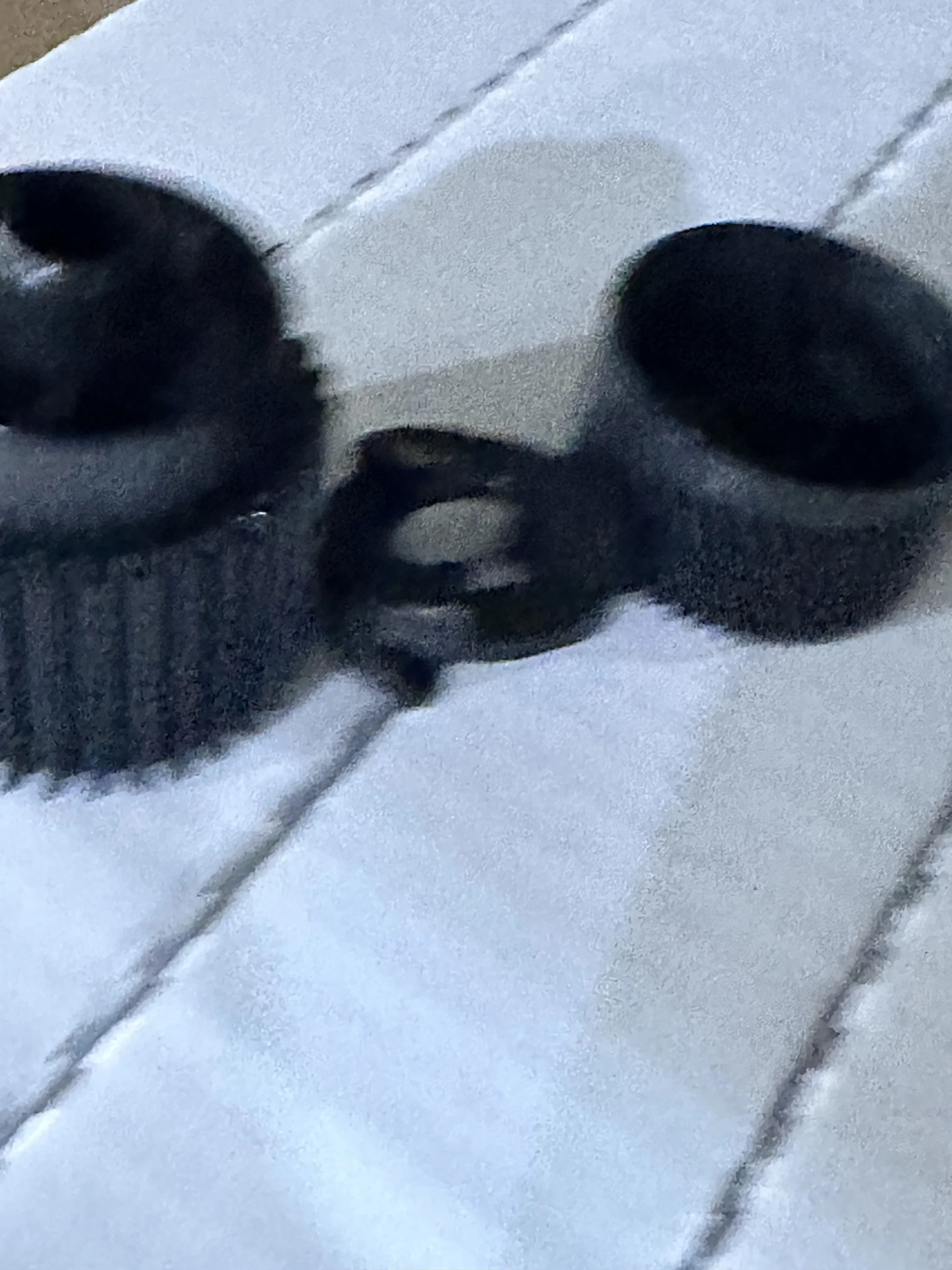 5X Fuser Drive Gear for PANTUM P3010 P3300 M6700 M6800 M7100 M7200 M7300