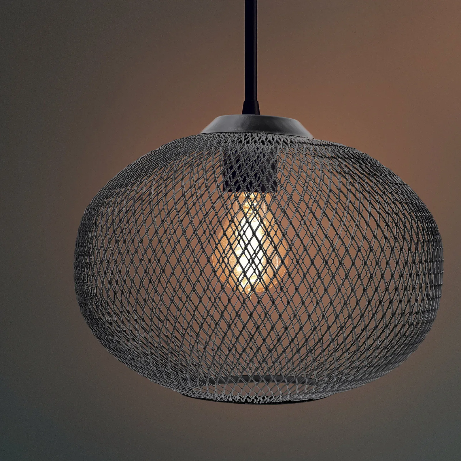 

Pendant Light Shade Iron Hollowed Lampshade Decorative Cover for Pendant Lamp Light Bulb Cage Lighting Accessories