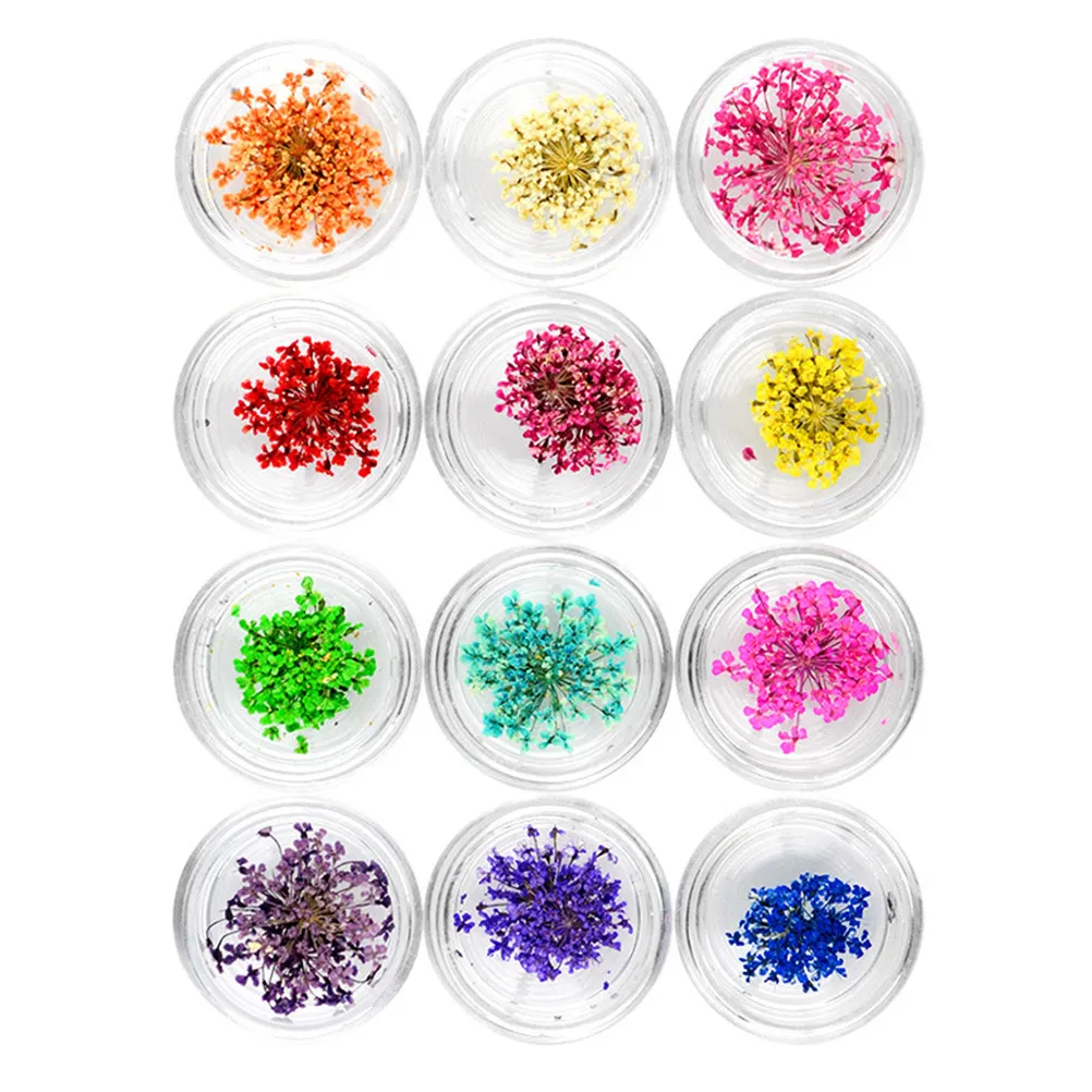 12 Colors Pressed Flower Nail Art Stickers 3D Dimensional Floral Decoration Tips for Professional DIY Manicure Nail Supplies
