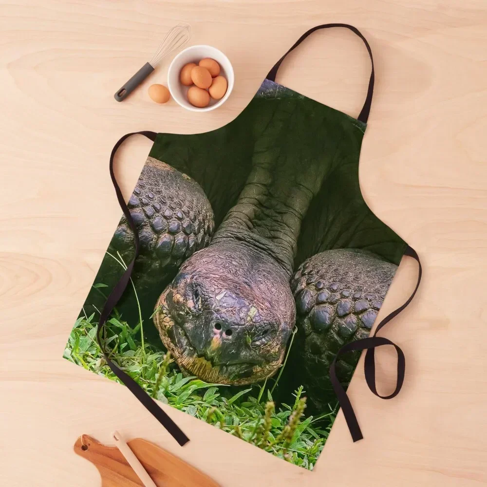 

Galápagos Tortoise close up Apron Woman Kitchens Home And Kitchen kitchen gadgets Goods For Home And Kitchen Apron