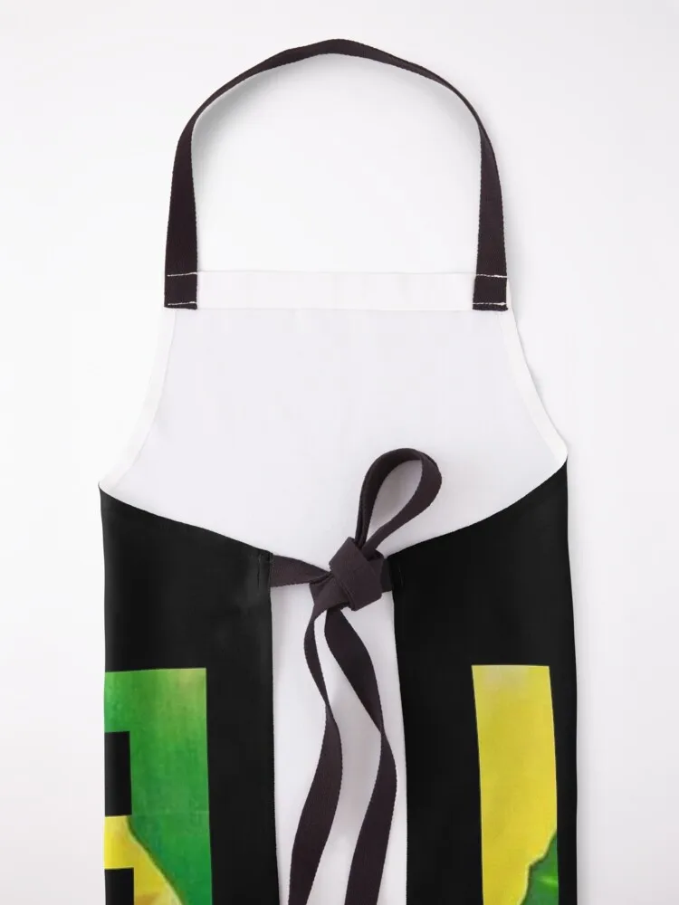 Awo Orula Ifa Yoruba Santeria Apron Hairdressing Hairdresser Accessories For Girl For Woman Apron