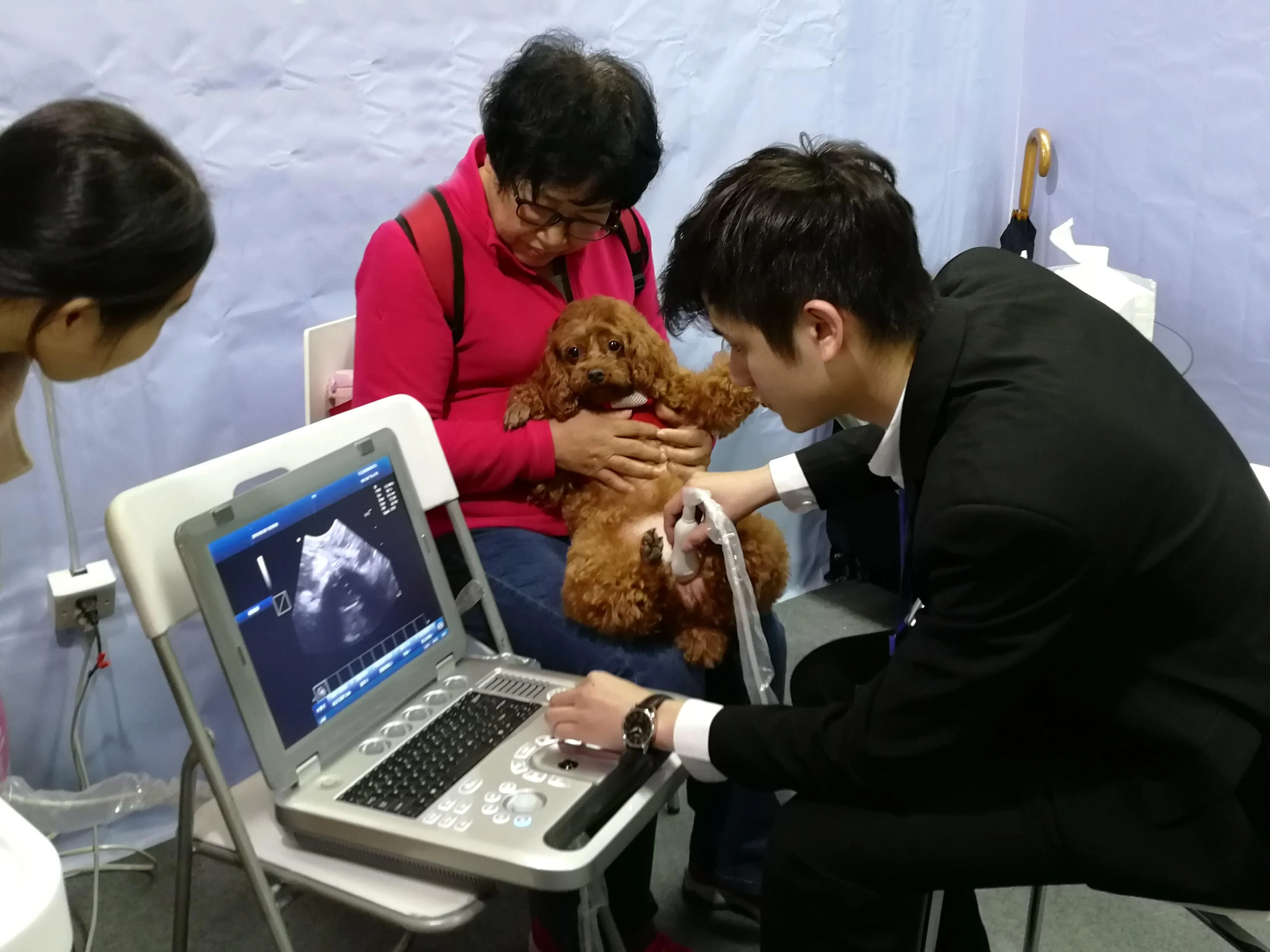 Cheapest Full Digital Veterinary Pet Ultrasound Scanner Portable Handheld Animal Portable Ultrasound Machine Price